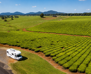 4 berth motorhome beside a tea plantation near Cairns, Queensland