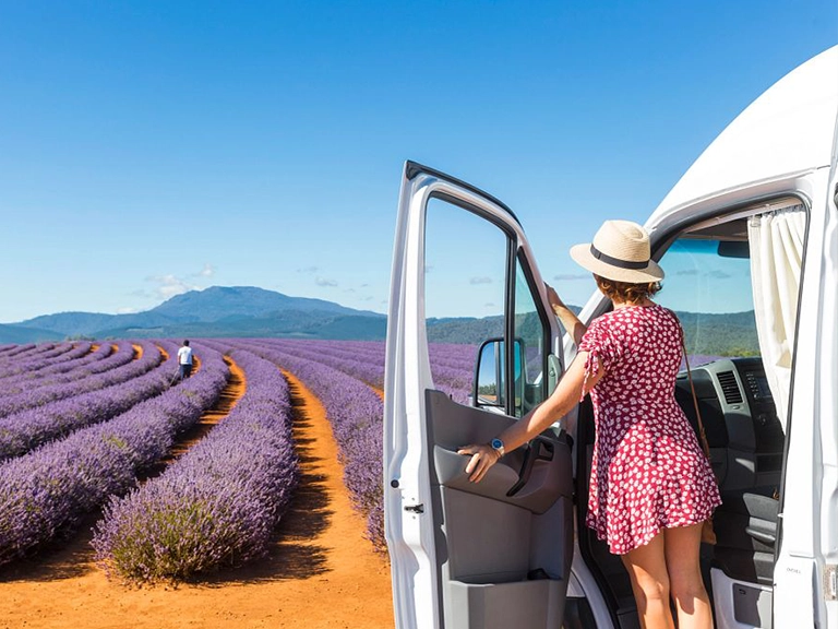 Traveller stepping from a motorhome rental beside a lavender farm in Tasmania